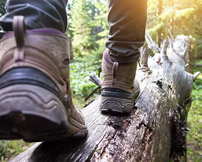 Skor som går på en stock i skogen