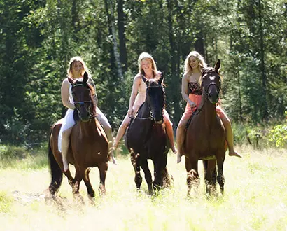 Tre ryttare på hästar på en äng