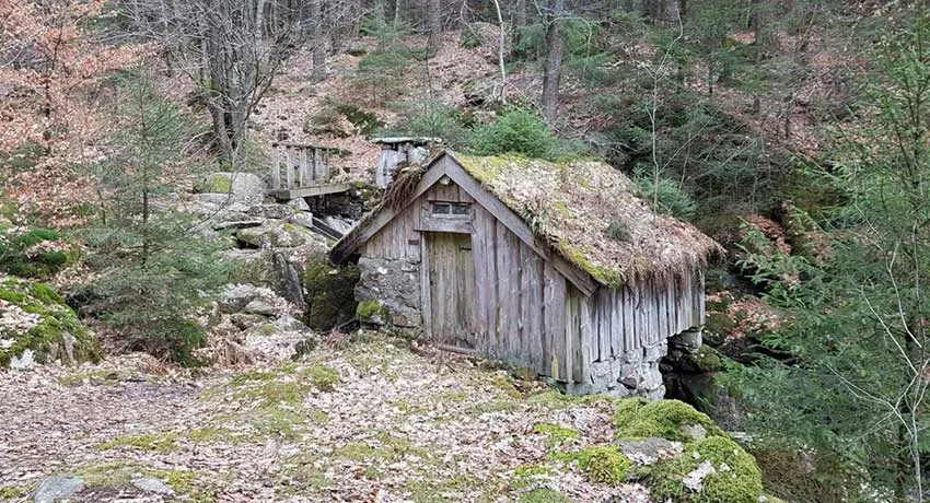 Gammal skvaltkvarn ute i skogen