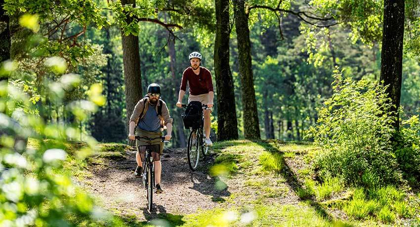 Två cyklister i skogen i Halmstad