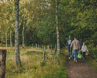 Familj går i Danska fall naturreservat i Halmstad