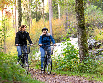  Two cyclists in the woods