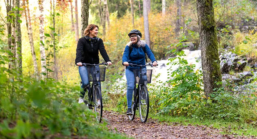  Cyclists in the forest in Halmstad