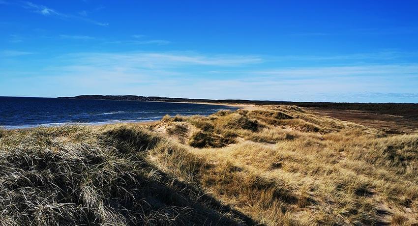  Vilshärad naturreservat og strand i Halmstad