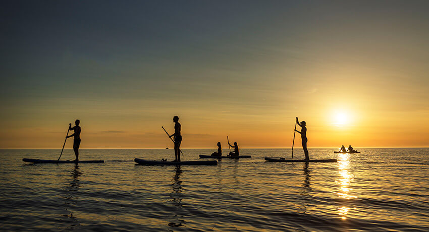 Flera personer paddlar stand up paddel i Halmstad på havet i solnedgång.