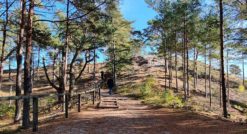 The path up to Lynga sand dune in Halmstad