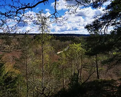 Utsikt från skog i Simlångsdalen