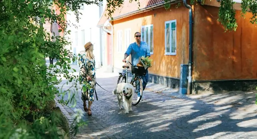 Två personer går med en hund i centrala Halmstad