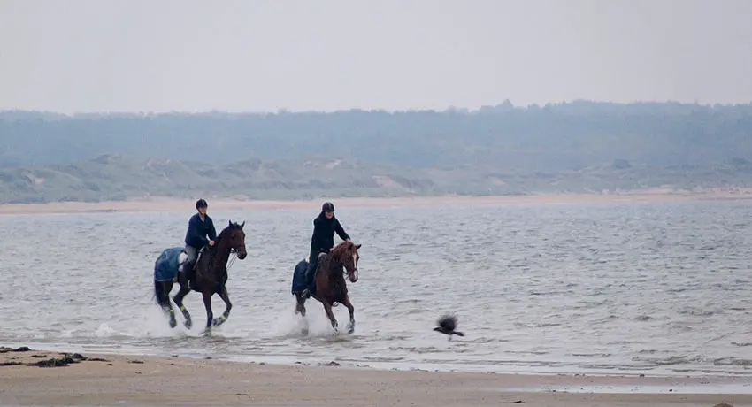 Två personer rider på hästar längs stranden