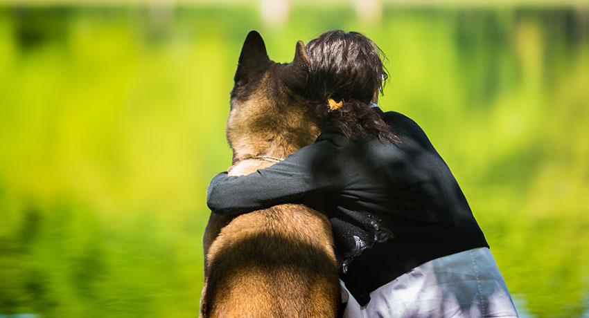 Person kramar om en sittande hund