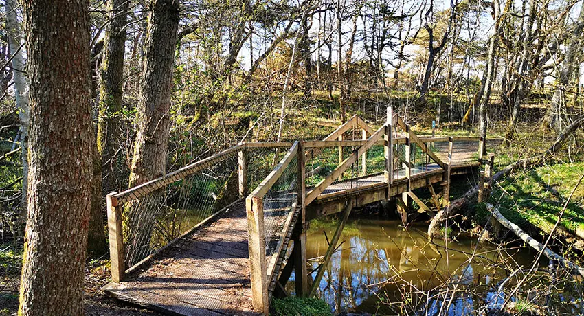 Bro över bäcken Skitan i Haverdals naturreservat, Halmstad