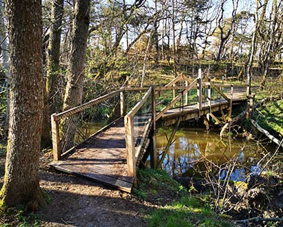  Bridge over the stream Skitan in Haverdals nature reserve, Halmstad