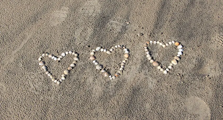 Tre hjärtan av snäckor i sanden
