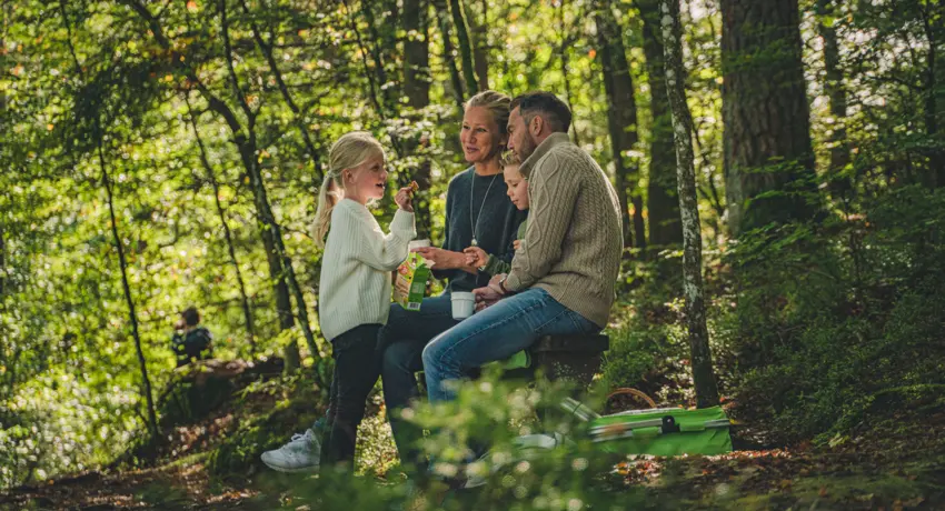 Familj i grönskande skog