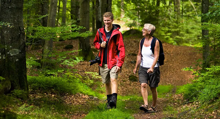 To vandrere ude og gå i en bøgskov i Halmstad