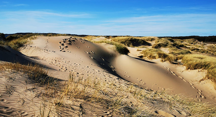Sand dune in Haverdal's nature reserve in Halmstad