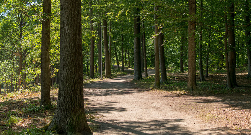 Übungspfade im Wald bei Galgberget in Halmstad
