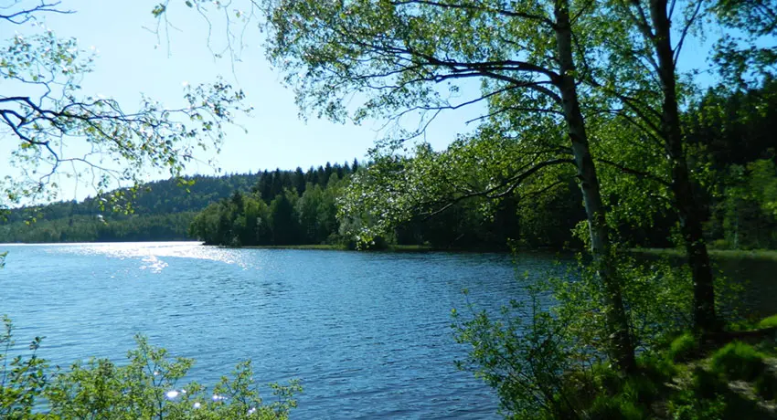 Utsikt över Torvsjön i Skedala skog i Halmstad